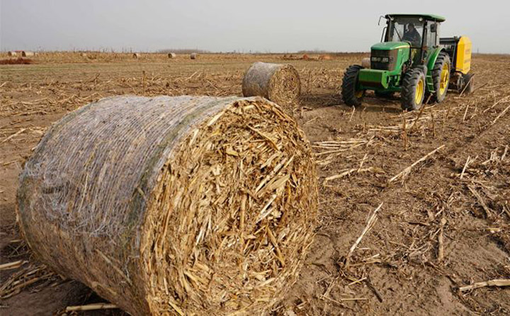 玉米秸稈廢棄物 生物質顆粒機械