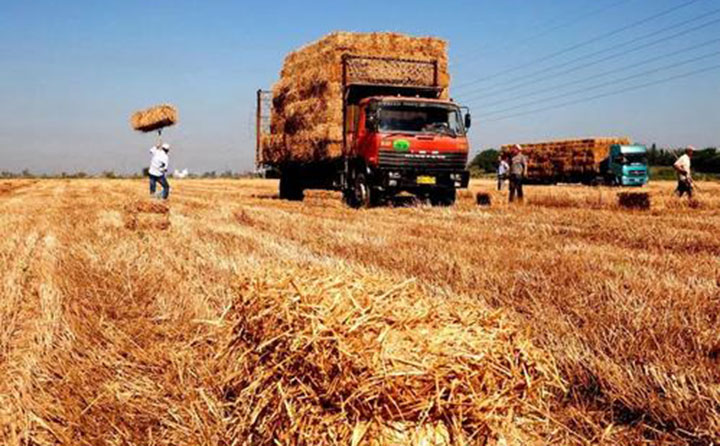 生物質顆粒機原料 生物質顆粒機原料