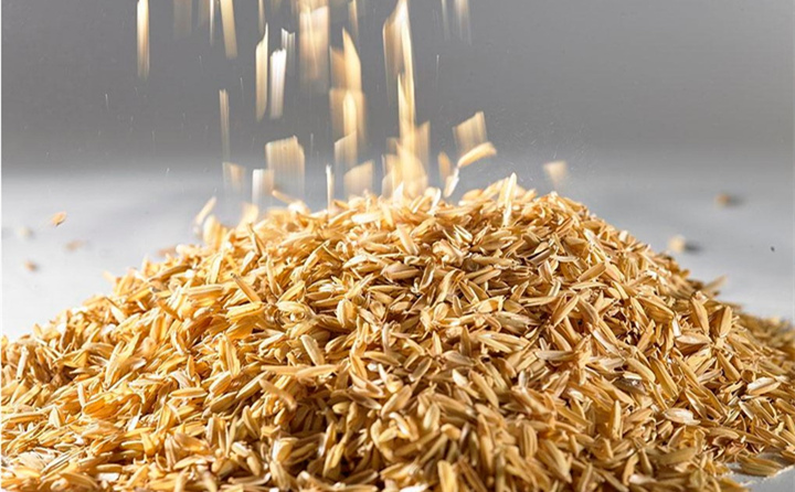 我，是廣東生物質燃料公司料場裏的一個普通稻殼