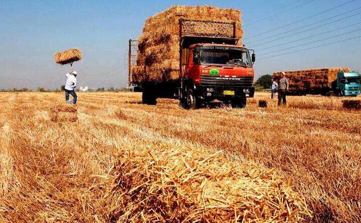 一台台秸稈打捆機正在田地裏作業，一大片散落在地裏的葵花、玉米秸稈被打包成一個個方塊
