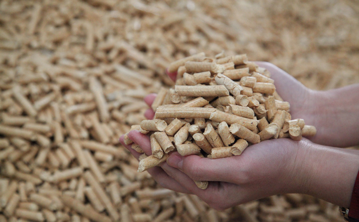 木材邊角料和秸稈可別扔了，用生物質顆粒機加工，可以變成顆粒燃料，可以賣也可以自己用
