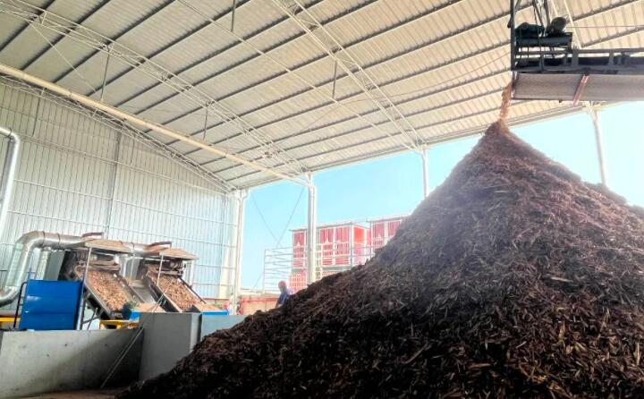 伴著轟隆隆的機器聲，食指長短的生物質顆粒就被生產出來，從傳輸帶上傾瀉而下，在成品區堆成小山丘。