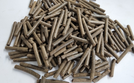 新能源司副司長梁誌鵬：相比較於其他可再生能源，生物質能利用意義更大