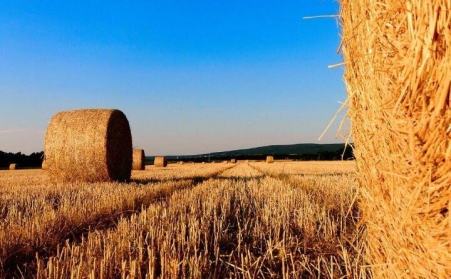 2019年秸稈綜合利用有補助嗎？每畝補助多少錢？