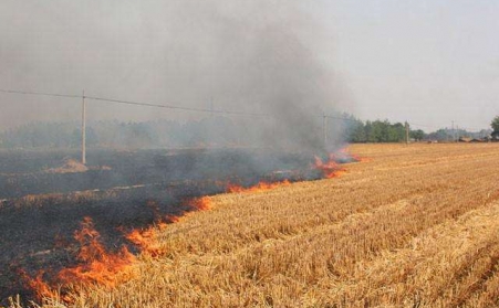 農作物後的秸稈不能燒，用了秸稈顆粒機能變錢！