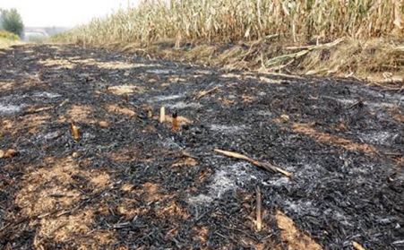 生物質顆粒機燃料取代煤：離我們還有多遠？