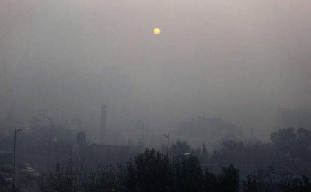 生物質顆粒機的出現，解決了廢棄物處理難的問題