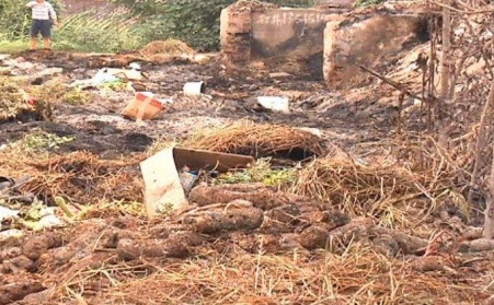 生物質顆粒機能有效解決畜禽糞便的汙染問題