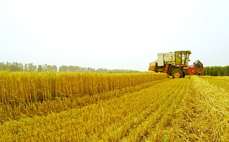 發展生物質顆粒機，作用良多