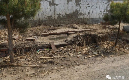 生物質顆粒機的發展，對處理農村垃圾具有重要意義
