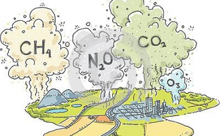 秸杆如何綜合治理，秸稈顆粒機來幫忙！