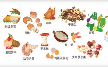 我國明確對非居民廚餘垃圾處理按“產生者付費”原則計量收費,你的垃圾怎麼辦？垃圾生物質顆粒機幫你解決