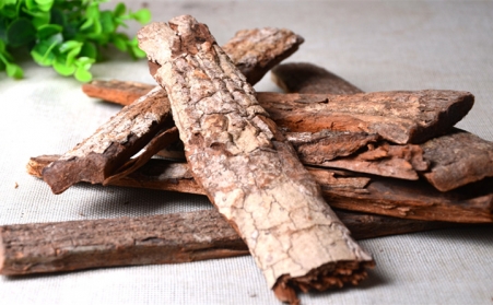 深入！為什麼歐洲需要依靠可持續的生物能源