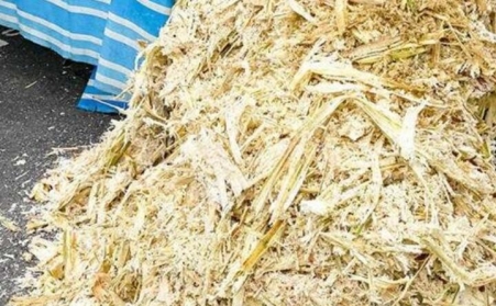甘蔗渣想廢物利用？可以考慮生物質顆粒機！