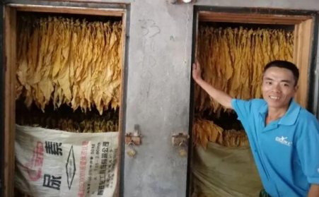 光澤華僑鄉：改造生物質顆粒燃料烤房，助力煙農減工增收