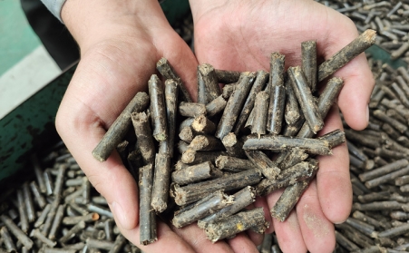 生物質顆粒機生產的顆粒表麵有鋸末怎麼回事
