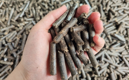 江西因地製宜推廣應用生物質能 增加農村地區清潔能源供應