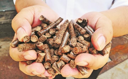 武漢鼓勵石化、建材行業擴大生物質等清潔能源消費比重