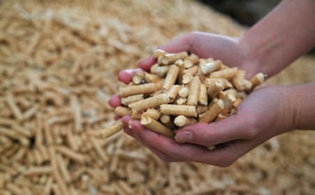 明確生物質成型燃料是清潔能源，加大政策扶持力度